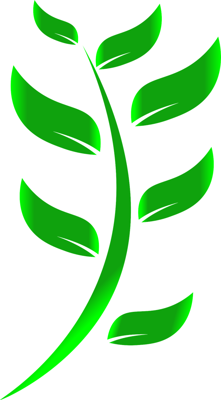 Sustentabilidade e Meio Ambiente